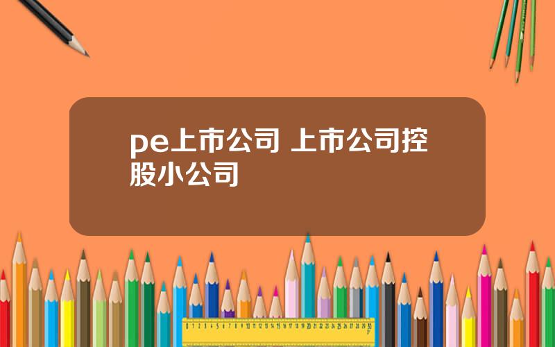 pe上市公司 上市公司控股小公司